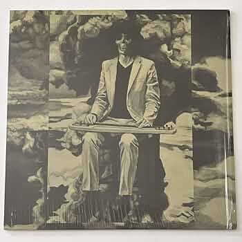 坂本慎太郎 / ナマで踊ろう 坂本慎太郎 